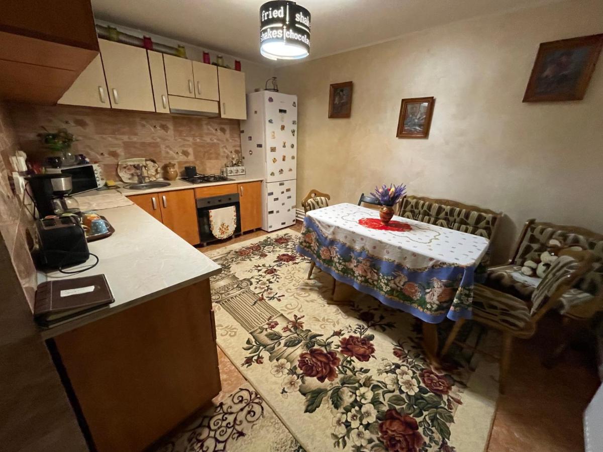 בית הארחה ואמה 	Casa Cu Pitici מראה חיצוני תמונה