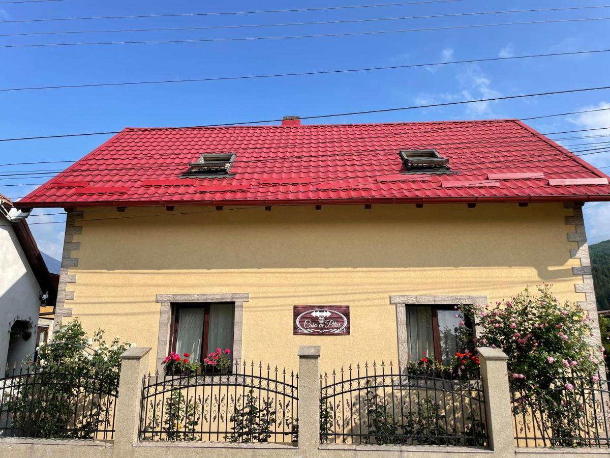 בית הארחה ואמה 	Casa Cu Pitici מראה חיצוני תמונה
