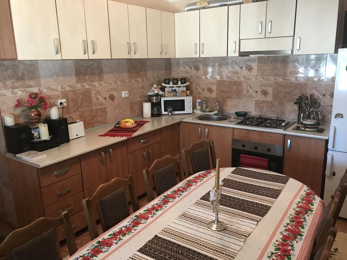 בית הארחה ואמה 	Casa Cu Pitici מראה חיצוני תמונה